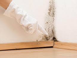 Best Water Damage & Mold Remediation  in Kennewick, WA